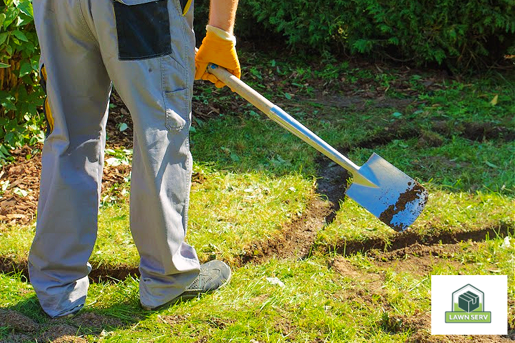 Starting Fresh How Do I Start My Lawn Over From Scratch? Lawn Serv